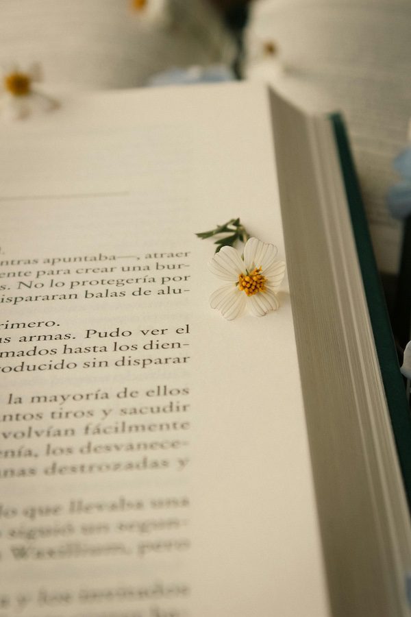 vivre-de-lecriture-metiers-litteraires-passions-scénariste